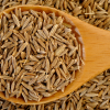 Cumin Seeds Supplier Exporter in Poland