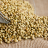 Coriander Seeds Supplier Exporter in Qatar