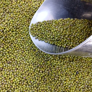 Whole Moong Medium