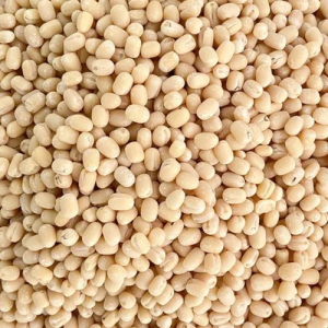 Urad Gota Medium