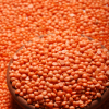 Masoor Dal Supplier Exporter in Qatar