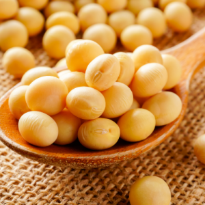 Soyabean